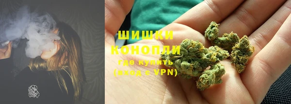 PSILOCYBIN Балабаново