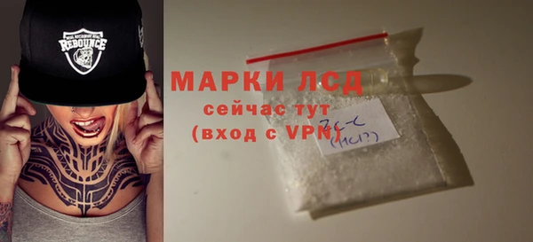 PSILOCYBIN Балабаново