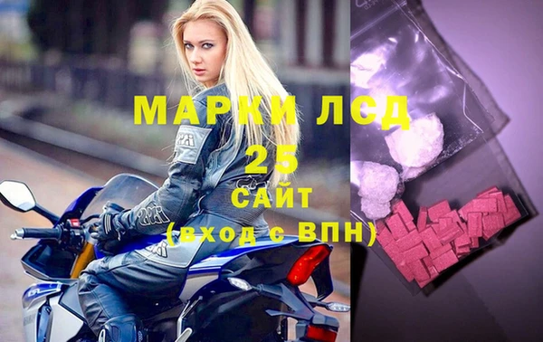 сатива Аркадак
