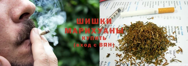 PSILOCYBIN Балабаново