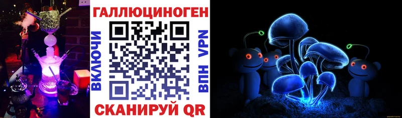 Псилоцибиновые грибы прущие грибы  закладки  Зерноград 